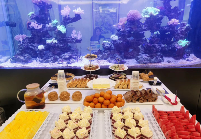 16246179981016065FF4.png 16246179981016065FF4.png