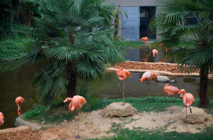 162462153067095141DB.png 162462153067095141DB.png