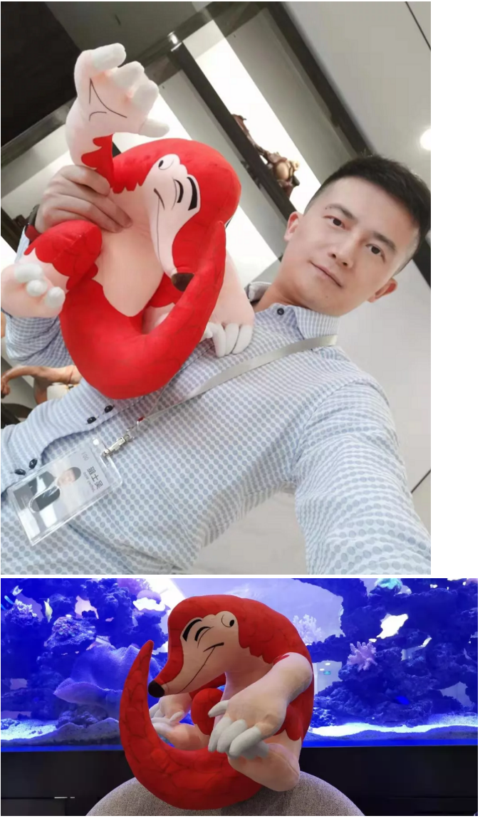 1624681464872598C1E9.png image.png